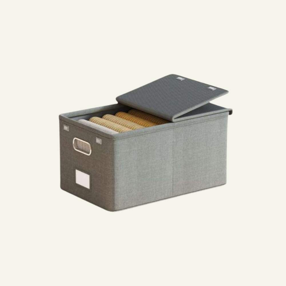Caja Organizadora Con Tapa Para Ropa